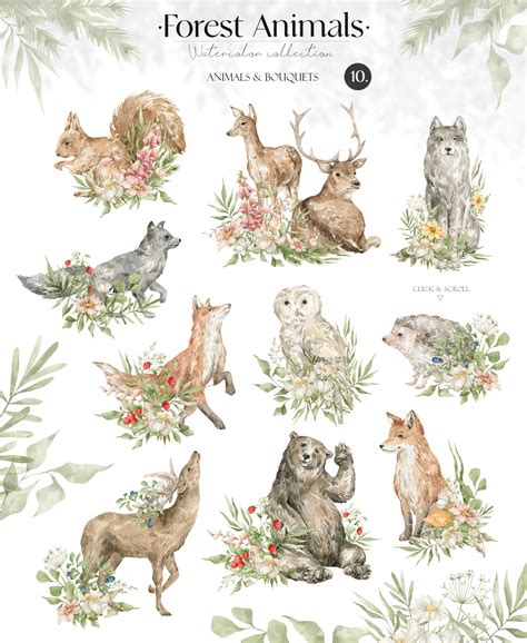 Forest Animals. Watercolor wildlife, an Animal Illustration by Kreker Kate | Watercolor animals ...