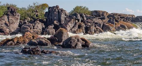 Exploring South America’s Xingu River | TFH Magazine