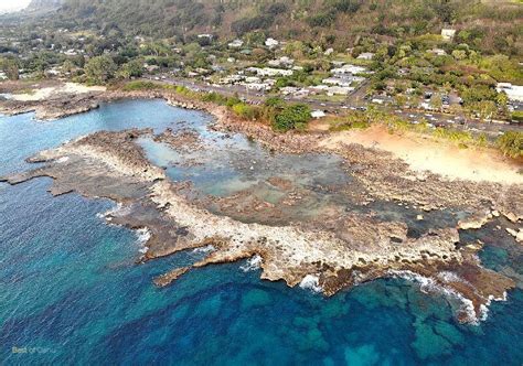 Sharks Cove - Amazing Snorkeling on the North Shore