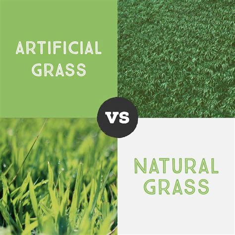 🥇Artificial Turf vs Natural Grass in Bonita Ca | 🥇Artificial Grass ...