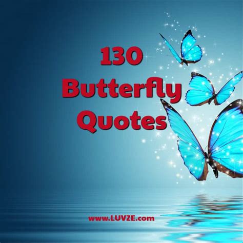 130 Butterfly Quotes and Sayings