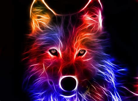 Neon Dog Wallpaper - PetsWall