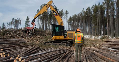 Timber management project aims to mimic natural process | Daily Inter Lake