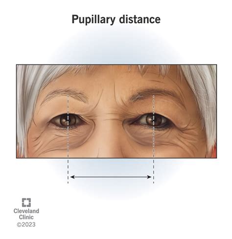 Pupillary Distance: What It Means & How To Measure