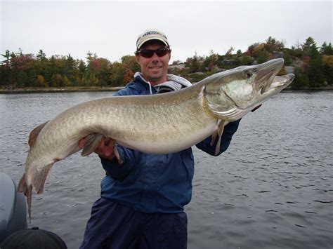 Ontario River Musky Fishing