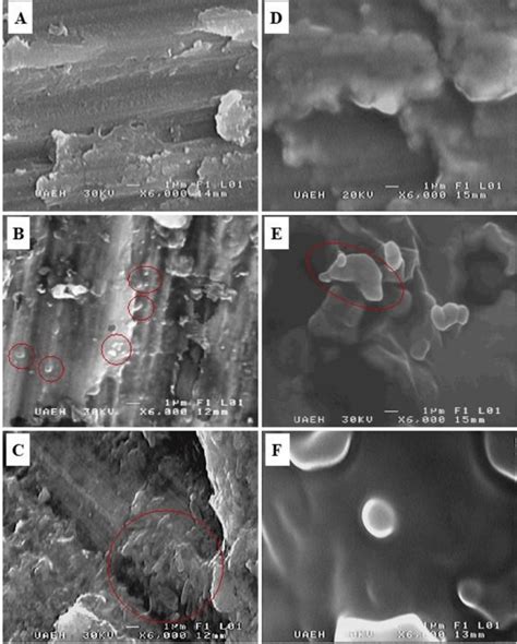 SEM micrographs of Ti electrodes, control electrodes (a and d) and... | Download Scientific Diagram