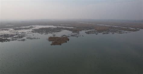 Aerial View of the Hokersar Wetland in Jammu and Kashmir, India Free ...