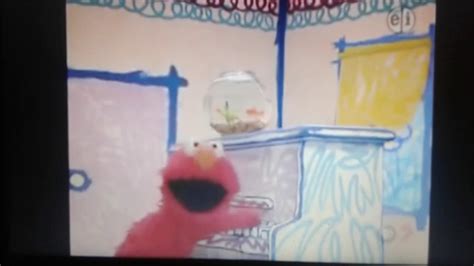 Elmo's World: The Bird Song & The Wild Animal Song COMBINED! - YouTube