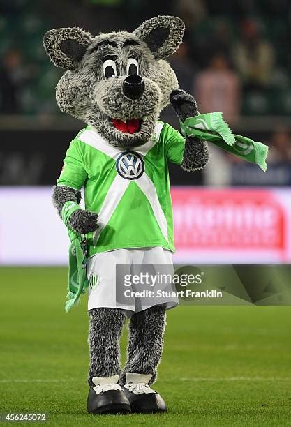 Mascot Wolfie Photos and Premium High Res Pictures - Getty Images