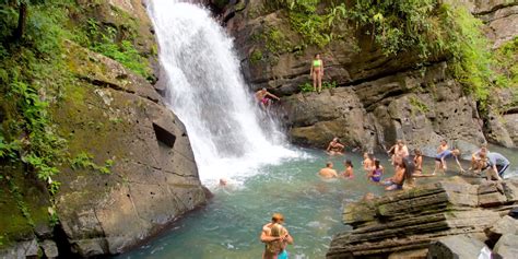 Discover 7 Interesting Animals In El Yunque's Rainforest