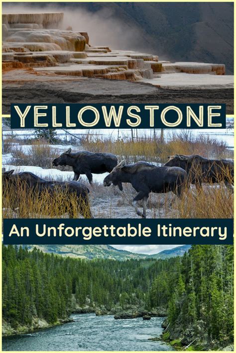 Yellowstone trip planner planning a yellowstone itinerary – Artofit