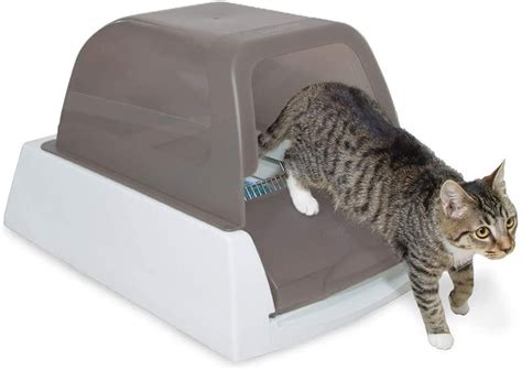 PetSafe ScoopFree Automatic Self Cleaning Hooded Cat Litter Box - Ultra ...