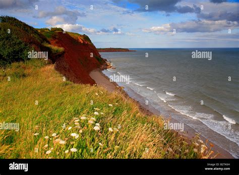 Sandy bay exmouth hi-res stock photography and images - Alamy