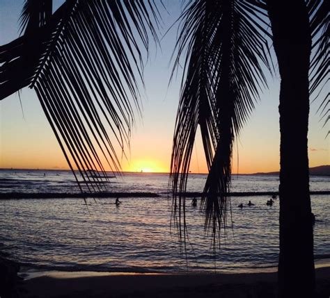 Sunset on Waikiki Beach | Waikiki beach, Beach, Waikiki