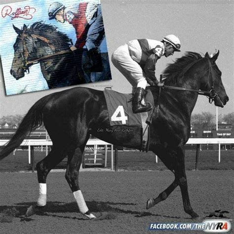 Ruffian | Thoroughbred horse racing, Beautiful horses, Horses