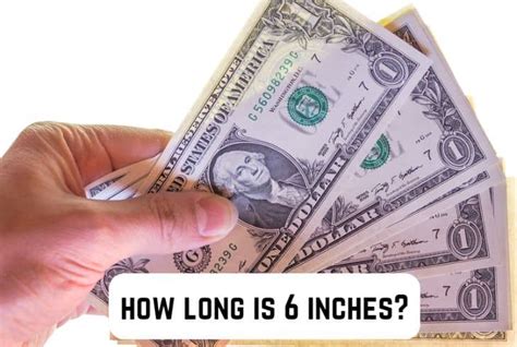 10 Common Things That are 6 Inches Long (+Pics) | Measuringly