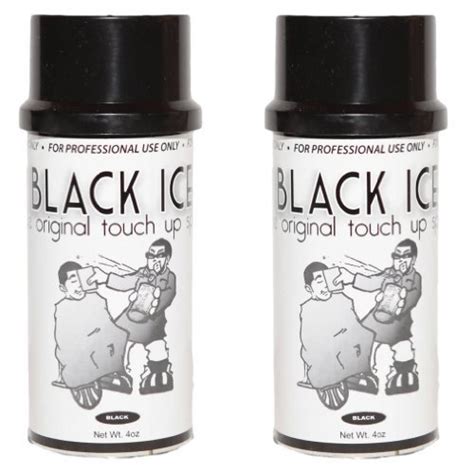 Amazon.com : Black Ice Original Black Hair Touch up Spray 4 Oz (2 pack ...