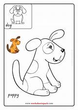 Baby Animals Coloring Pages Easy At Amelie Woolley Blog sketch template