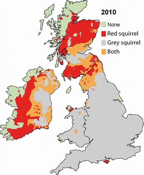 The decline of the Red Squirrel in the British Isles