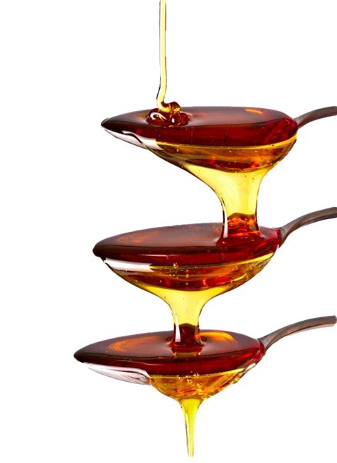Maple Syrup PNG Free Download | PNG All