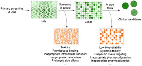 IJMS | Free Full-Text | Drug Screening with Genetically Encoded Fluorescent Sensors: Today and ...