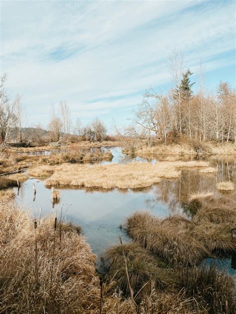 visiting the nisqually wildlife refuge - Loving Life Moore