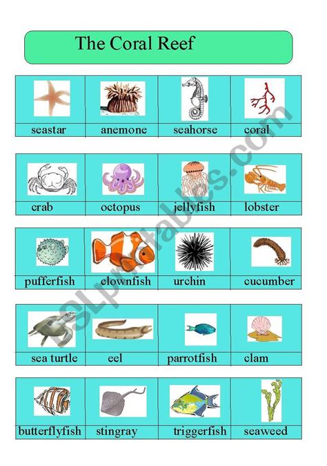 Coral Reef Worksheet (Grade 1 & 2) - Worksheets Library