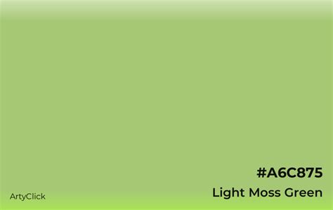 Light Moss Green Color | ArtyClick