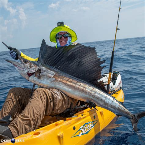 Sailfish Charter In Florida - Deep Blue Kayak Fishing