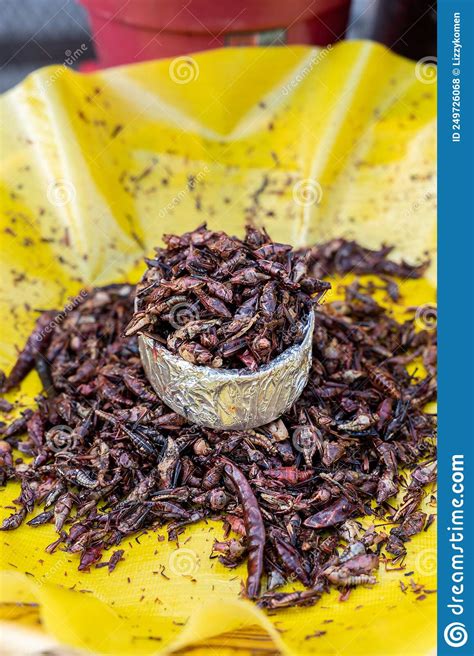 Close-up of a Bowl of Fried and Salted Grasshoppers from Oaxaca ...