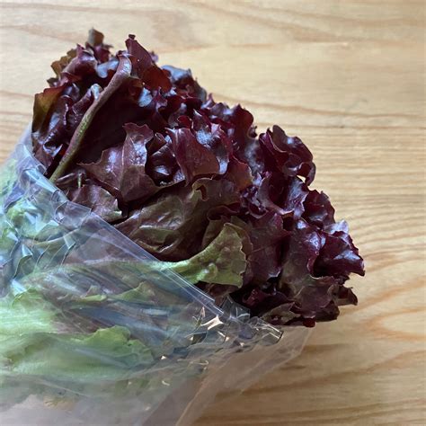 Lettuce Red Leaf | Mini | Blue Mtn | each