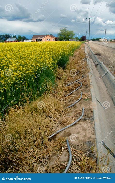 Farm Irrigation Ditch Stock Photos - Download 632 Royalty Free Photos