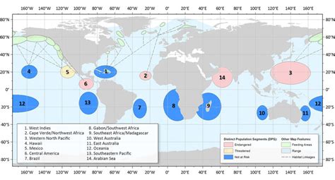 Humpback Whale Migration Map