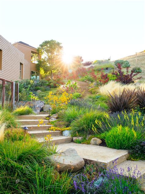 Water-Wise Garden Design Guide - Sunset Magazine