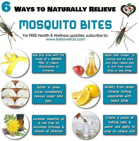 Pin by Geda Dao on Mosquito bite allergy | Remedies for mosquito bites, Bug bite relief ...