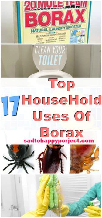 Top 17 Money Saving Household Borax Uses and Hacks - Sad To Happy Project