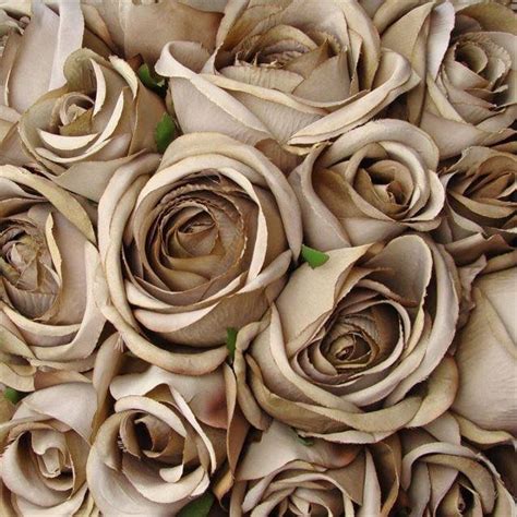 Taupe brown roses | Brown flowers, Vintage rose wedding, Wedding flowers roses