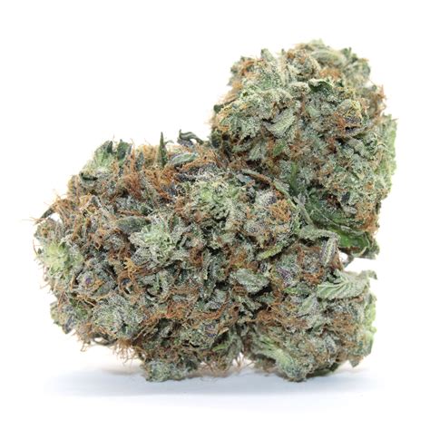 Tuna Flower (Gas) - Herbazon