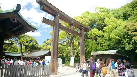 Meiji Jingu Shrine in Tokyo, | Expedia.ca