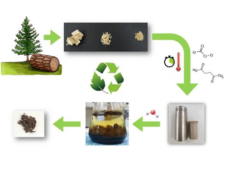 Lignin Extraction from Waste Pine Sawdust Using a Biomass Derived ...