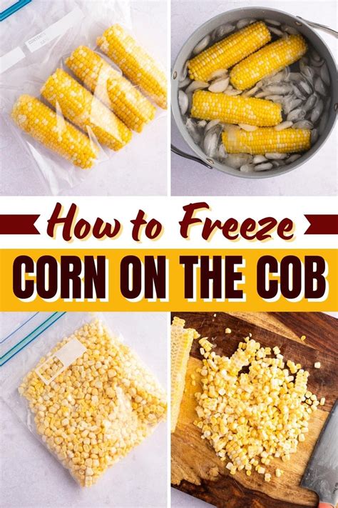 How to Freeze Corn on the Cob (Raw or Cooked) - Insanely Good