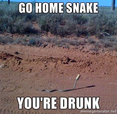 31 Most Funny Snake Meme Pictures And Images