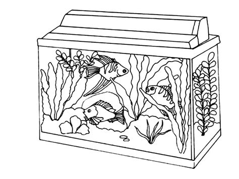 Aquarium Coloring Pages - Best Coloring Pages For Kids