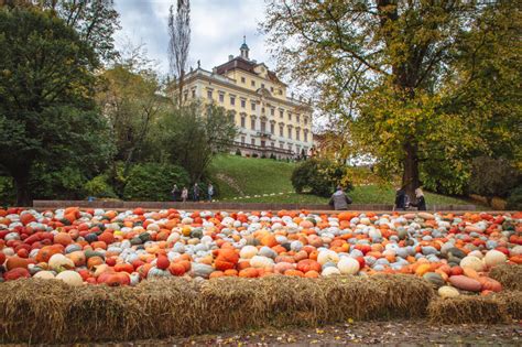 Ludwigsburg Pumpkin Festival: How to Visit From Munich