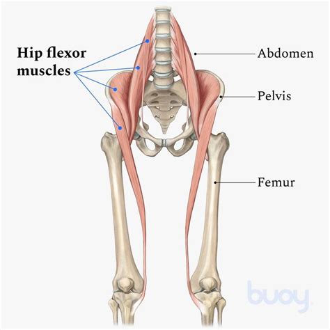 Hip Flexor Pain Causes