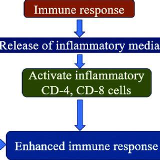 The interplay between epithelial dysfunction, mucosal inflammation, and ...