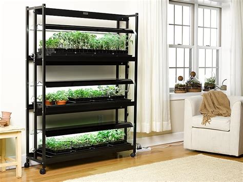 Amazon.com : Indoor Grow Light, 3-Tier Stand SunLite Light Garden With Plant Trays : Plant ...