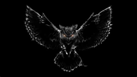 Night Owl Wallpapers on WallpaperDog