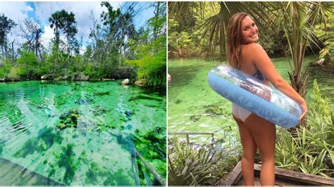 There’s A Natural Emerald Pool Near Tallahassee & It’s A Slice Of ...