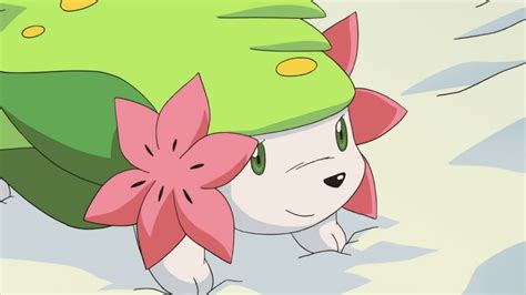 Best Legendary Grass Type Pokemon Ever - Ranked | Slowpoke Tail